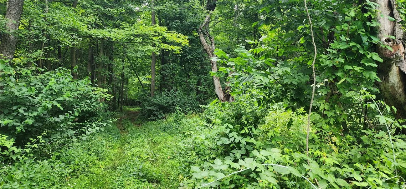 00 Hulberton Road, Murray, New York 14470, Murray, New York 14470, ,Land,Closed,00 Hulberton Road, Murray, New York 14470,0,R1623003