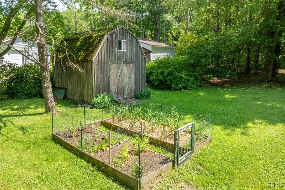 Beautiful garden