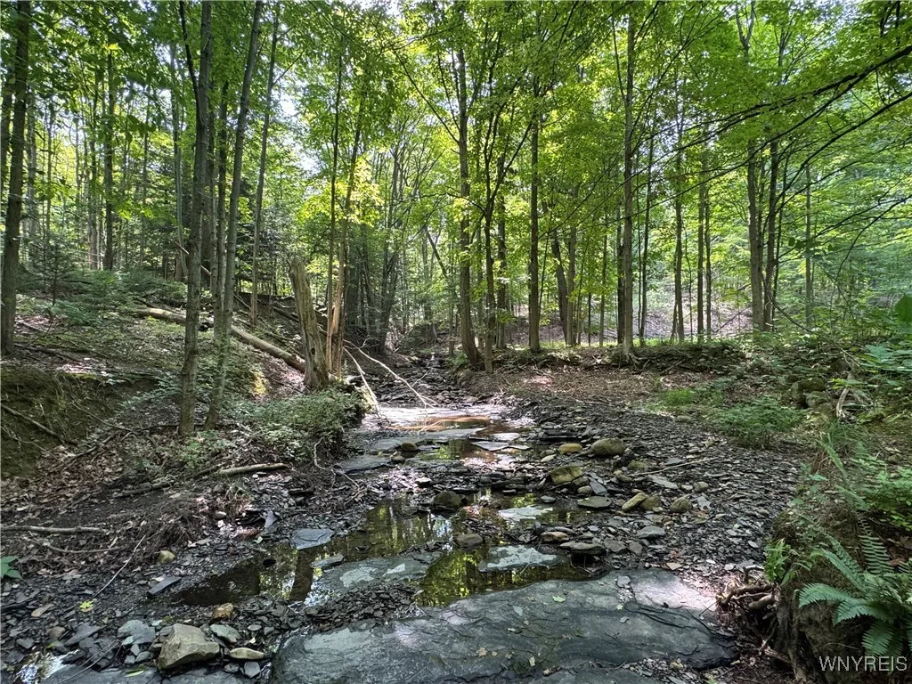 770 Falls Road, Aurora, New York 14170, Aurora, New York 14170, ,Land,For Sale,770 Falls Road, Aurora, New York 14170,B1623203