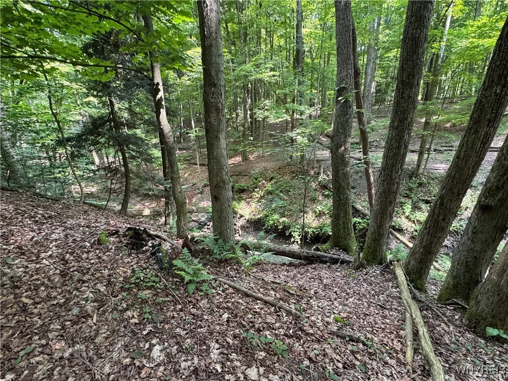 770 Falls Road, Aurora, New York 14170, Aurora, New York 14170, ,Land,For Sale,770 Falls Road, Aurora, New York 14170,B1623203