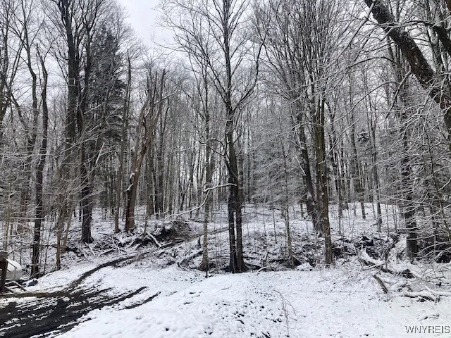 770 Falls Road, Aurora, New York 14170, Aurora, New York 14170, ,Land,For Sale,770 Falls Road, Aurora, New York 14170,B1623203