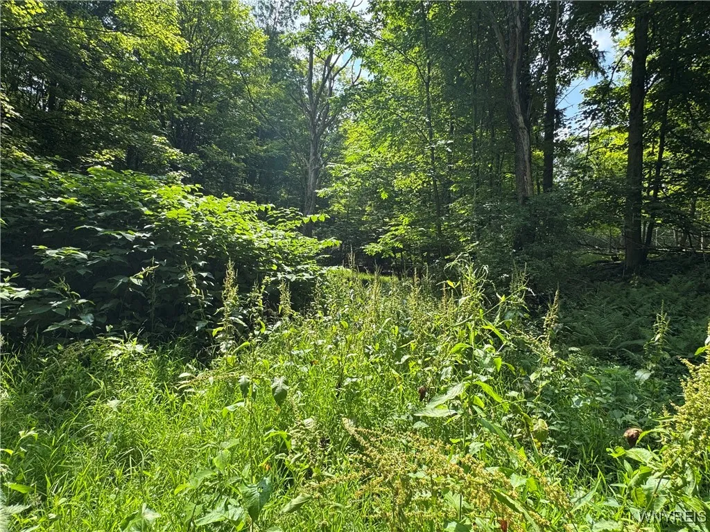 770 Falls Road, Aurora, New York 14170, Aurora, New York 14170, ,Land,For Sale,770 Falls Road, Aurora, New York 14170,B1623203