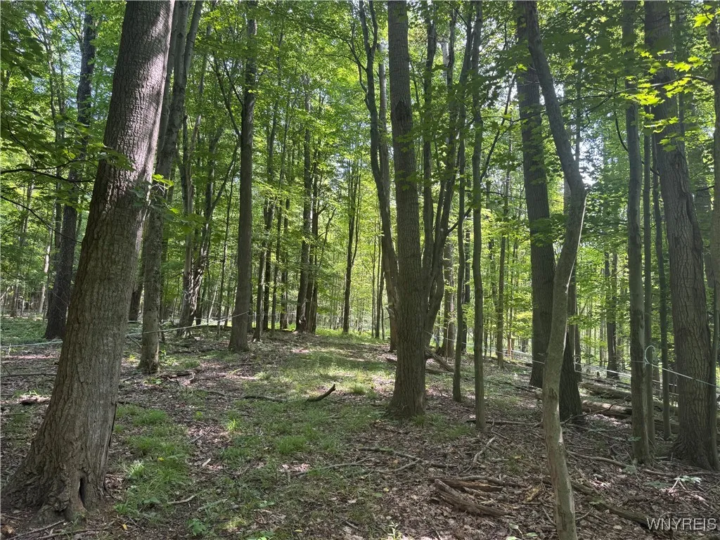 770 Falls Road, Aurora, New York 14170, Aurora, New York 14170, ,Land,For Sale,770 Falls Road, Aurora, New York 14170,B1623203