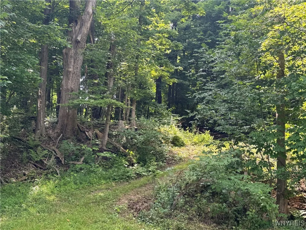 770 Falls Road, Aurora, New York 14170, Aurora, New York 14170, ,Land,For Sale,770 Falls Road, Aurora, New York 14170,B1623203
