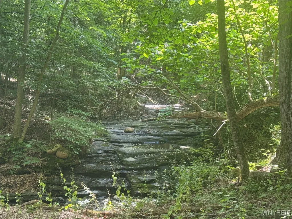 770 Falls Road, Aurora, New York 14170, Aurora, New York 14170, ,Land,For Sale,770 Falls Road, Aurora, New York 14170,B1623203