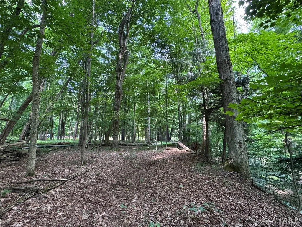 770 Falls Road, Aurora, New York 14170, Aurora, New York 14170, ,Land,For Sale,770 Falls Road, Aurora, New York 14170,B1623203