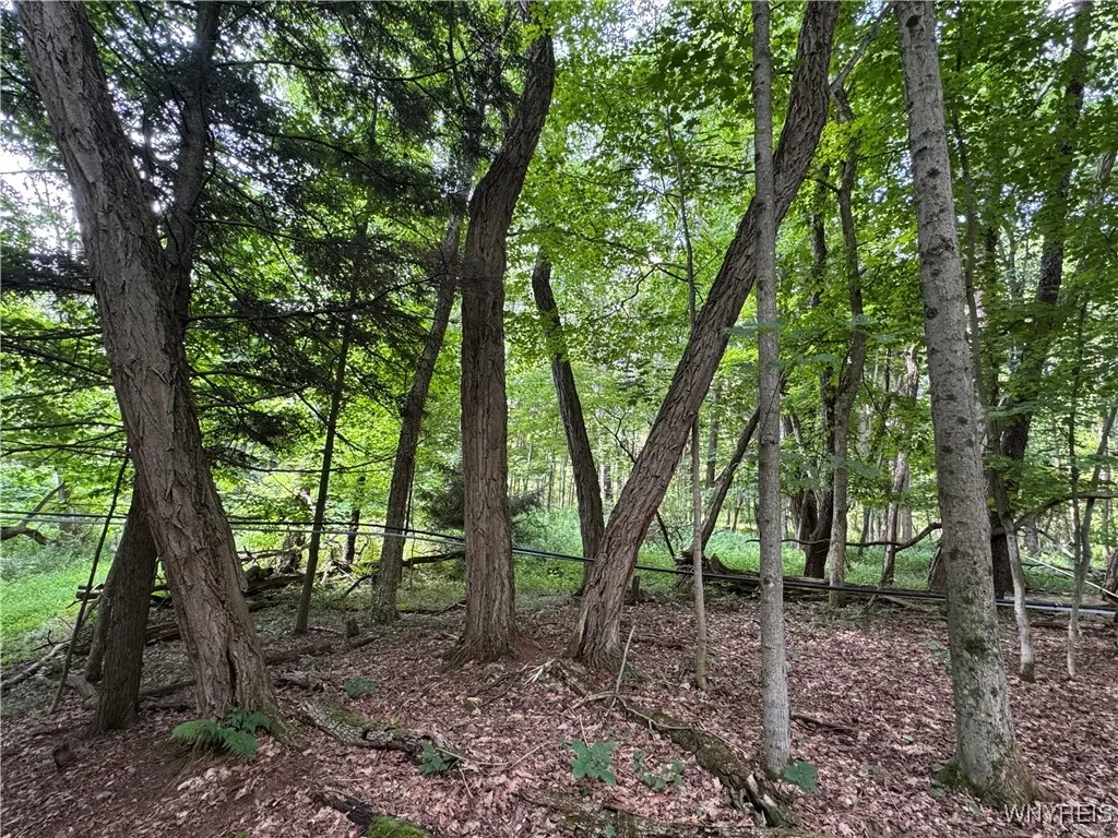 770 Falls Road, Aurora, New York 14170, Aurora, New York 14170, ,Land,For Sale,770 Falls Road, Aurora, New York 14170,B1623203