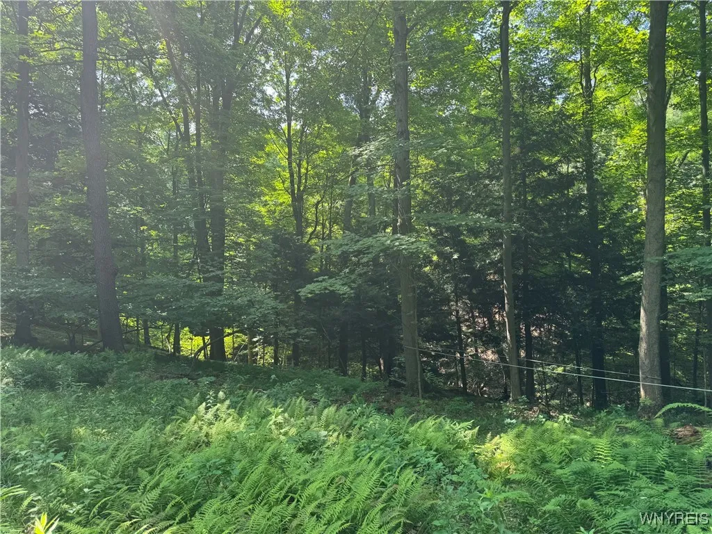 770 Falls Road, Aurora, New York 14170, Aurora, New York 14170, ,Land,For Sale,770 Falls Road, Aurora, New York 14170,B1623203