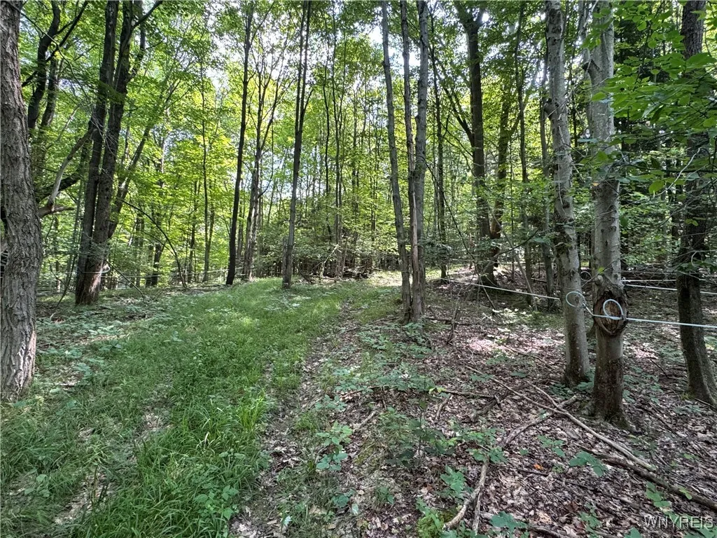 770 Falls Road, Aurora, New York 14170, Aurora, New York 14170, ,Land,For Sale,770 Falls Road, Aurora, New York 14170,B1623203