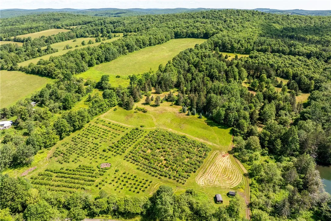361 Warren Road, Meredith, New York 13753, Meredith, New York 13753, 5 Bedrooms Bedrooms, 13 Rooms Rooms,2 BathroomsBathrooms,Residential,For Sale,361 Warren Road, Meredith, New York 13753,R1623060