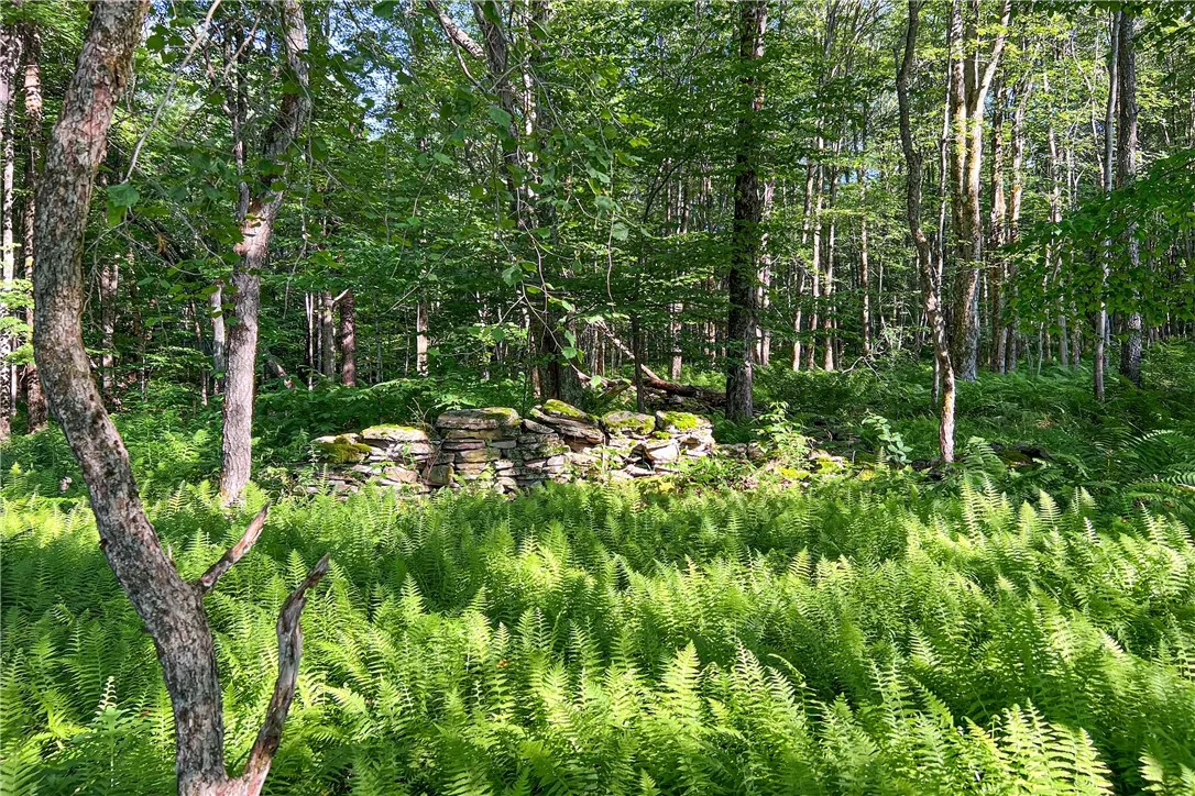 361 Warren Road, Meredith, New York 13753, Meredith, New York 13753, 5 Bedrooms Bedrooms, 13 Rooms Rooms,2 BathroomsBathrooms,Residential,For Sale,361 Warren Road, Meredith, New York 13753,R1623060