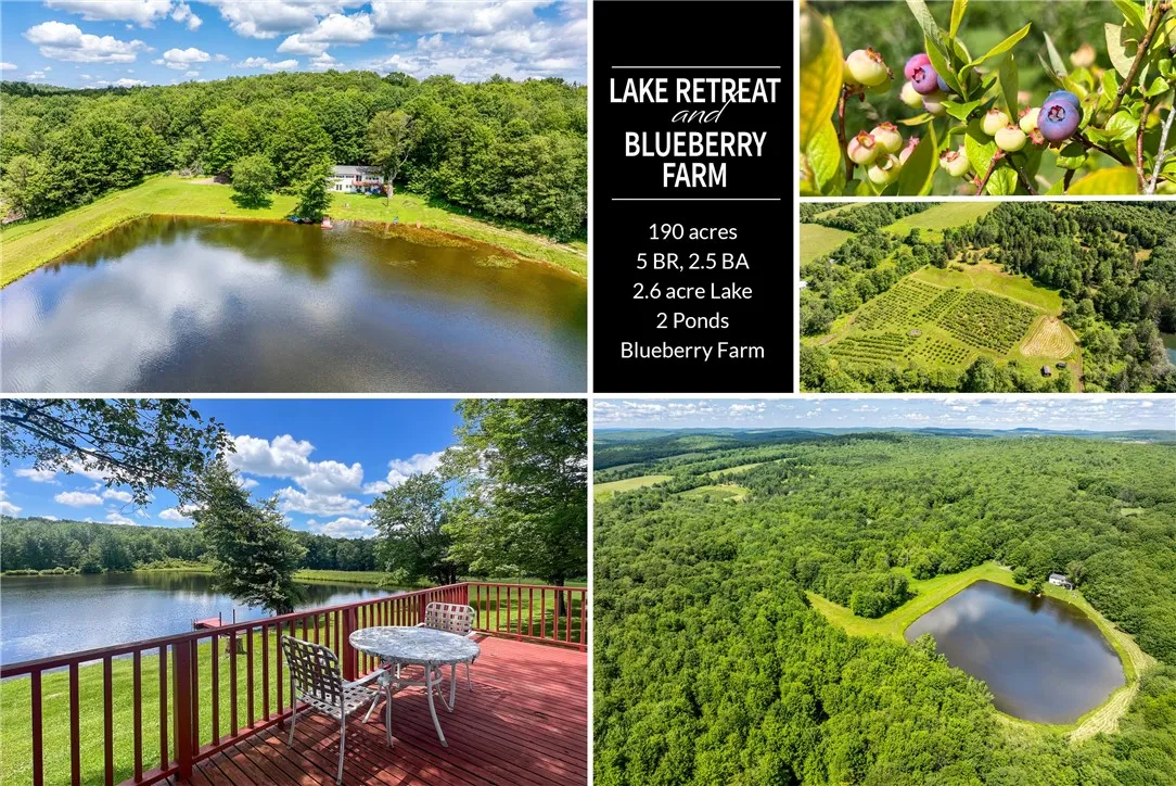 361 Warren Road, Meredith, New York 13753, Meredith, New York 13753, 5 Bedrooms Bedrooms, 13 Rooms Rooms,2 BathroomsBathrooms,Residential,For Sale,361 Warren Road, Meredith, New York 13753,R1623060
