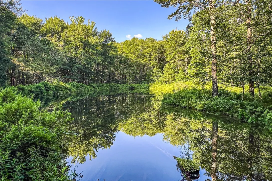 361 Warren Road, Meredith, New York 13753, Meredith, New York 13753, 5 Bedrooms Bedrooms, 13 Rooms Rooms,2 BathroomsBathrooms,Residential,For Sale,361 Warren Road, Meredith, New York 13753,R1623060