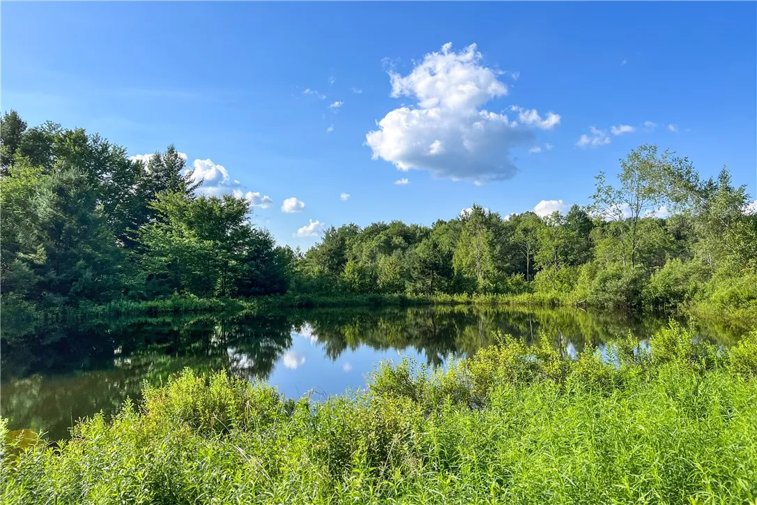 361 Warren Road, Meredith, New York 13753, Meredith, New York 13753, 5 Bedrooms Bedrooms, 13 Rooms Rooms,2 BathroomsBathrooms,Residential,For Sale,361 Warren Road, Meredith, New York 13753,R1623060