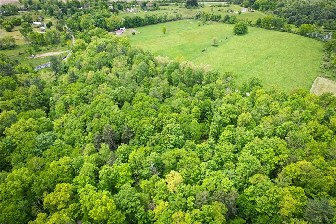 38 South South Vanderkarr Road South Na, Tioga, Ne, Tioga, New York 13734, 2 Bedrooms Bedrooms, 7 Rooms Rooms,2 BathroomsBathrooms,Residential,For Sale,38 South South Vanderkarr Road South Na, Tioga, Ne,R1623299
