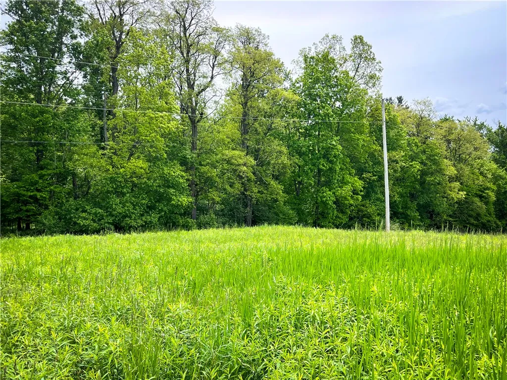 38 South South Vanderkarr Road South Na, Tioga, Ne, Tioga, New York 13734, 2 Bedrooms Bedrooms, 7 Rooms Rooms,2 BathroomsBathrooms,Residential,For Sale,38 South South Vanderkarr Road South Na, Tioga, Ne,R1623299