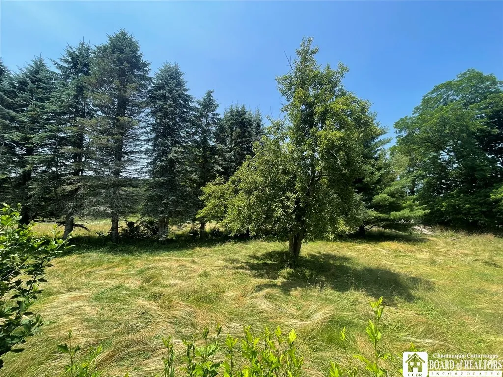 2567 Bowen Road, Randolph, New York 14747, Randolph, New York 14747, 2 Bedrooms Bedrooms, 6 Rooms Rooms,1 BathroomBathrooms,Residential,For Sale,2567 Bowen Road, Randolph, New York 14747,R1622893