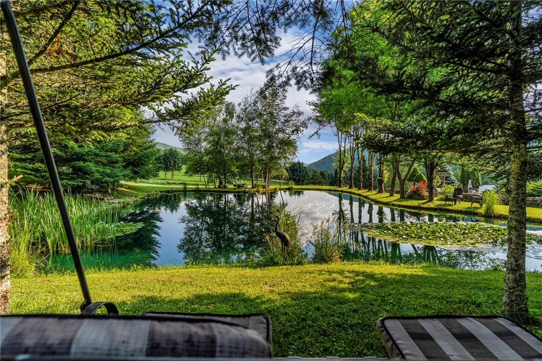 pond near swimming pool