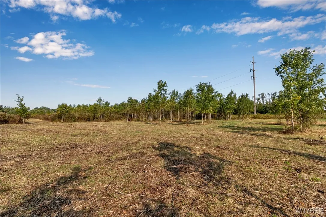 Barnum Road, Newstead, New York 14001, Newstead, New York 14001, ,Land,For Sale,Barnum Road, Newstead, New York 14001,0,B1623234