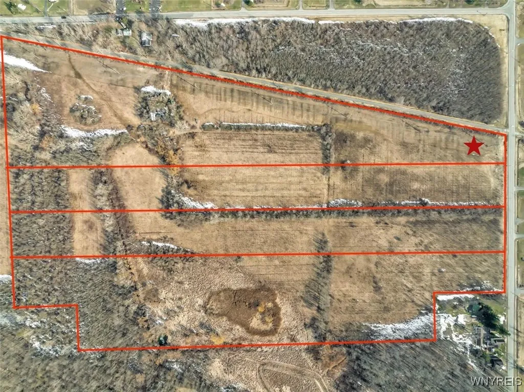Possible Subdivision Lines