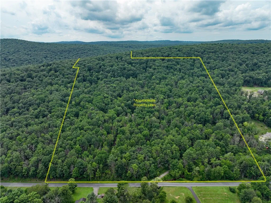 Road frontage aerial view