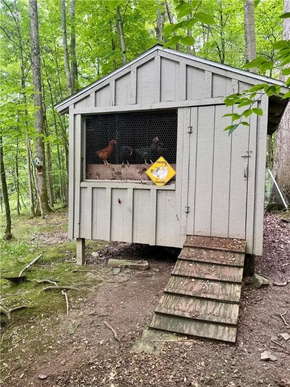 Fresh Eggs anyone?