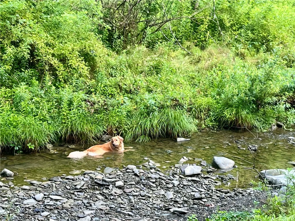 Penny's happy place