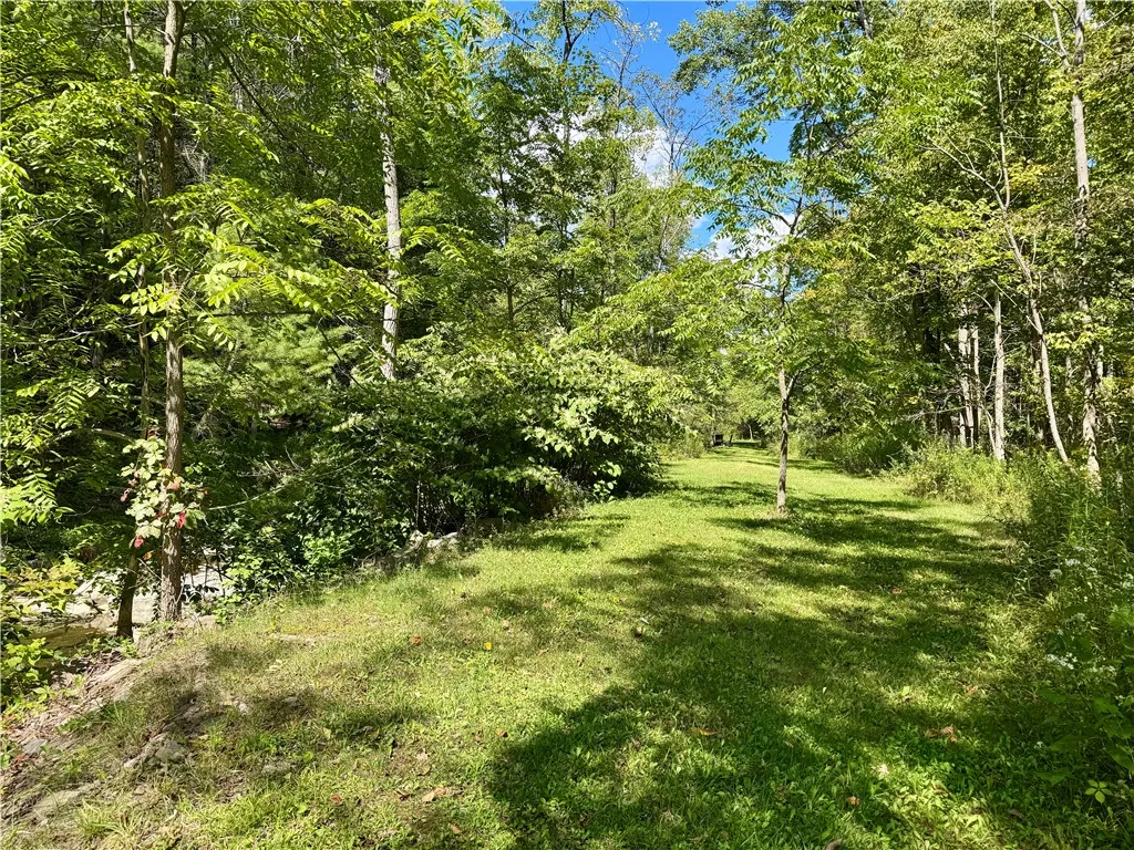 Mown path right by the Creek