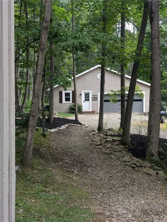 The view the chickens have.