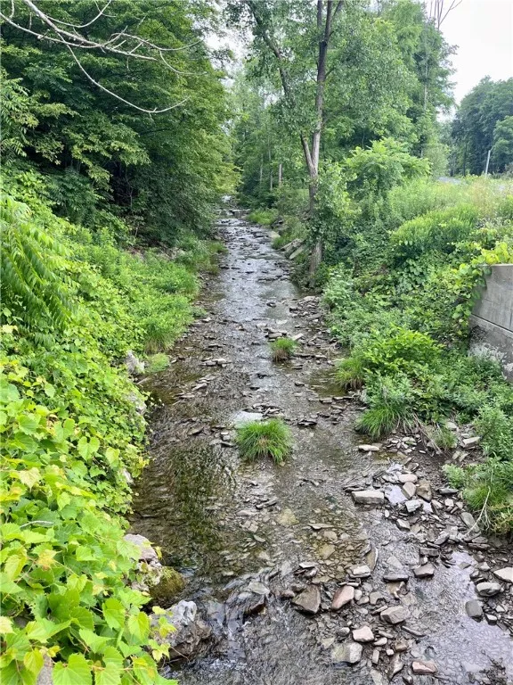Creek complete with frogs & minnows