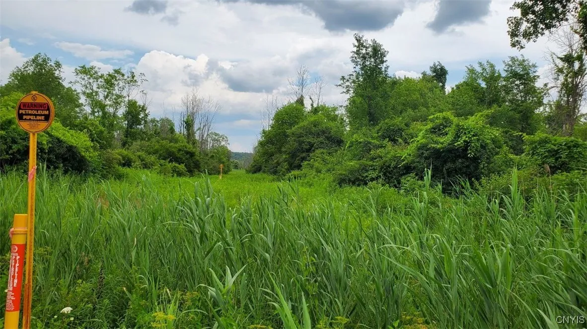 00 Herman Road, Camillus, New York 13031, Camillus, New York 13031, ,Land,For Sale,00 Herman Road, Camillus, New York 13031,S1623386