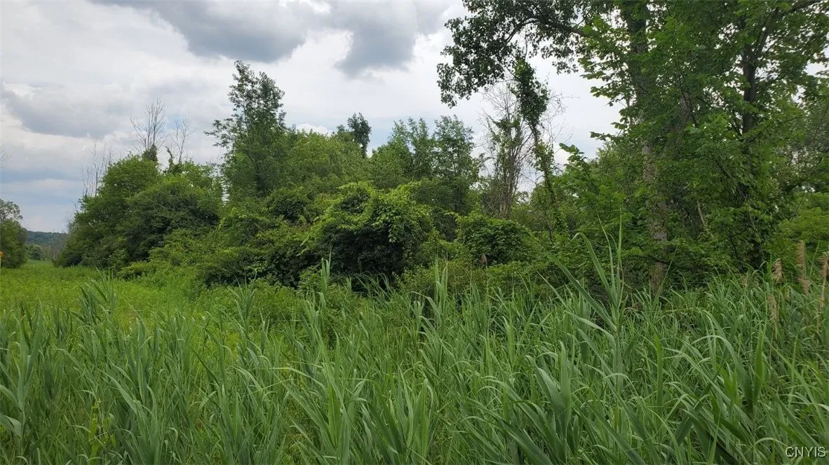 00 Herman Road, Camillus, New York 13031, Camillus, New York 13031, ,Land,For Sale,00 Herman Road, Camillus, New York 13031,S1623386