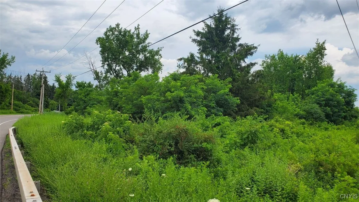00 Herman Road, Camillus, New York 13031, Camillus, New York 13031, ,Land,For Sale,00 Herman Road, Camillus, New York 13031,S1623386