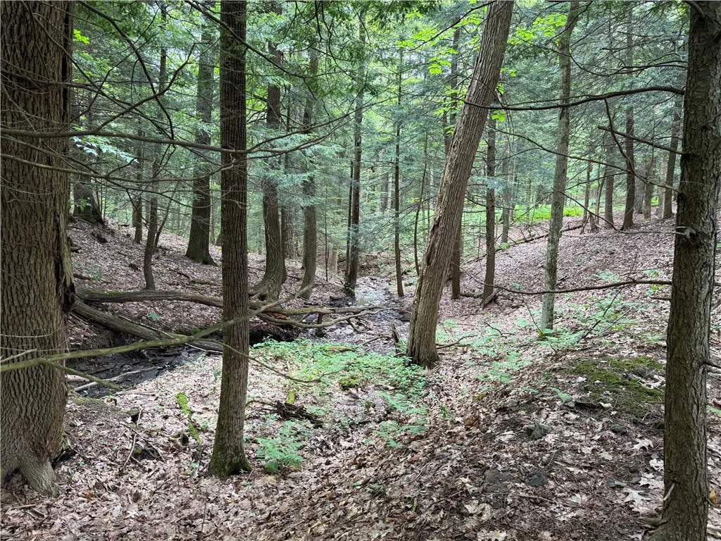 Winton Road Tn20, Columbus, New York 13460, Columbus, New York 13460, ,Land,For Sale,Winton Road Tn20, Columbus, New York 13460,R1623372