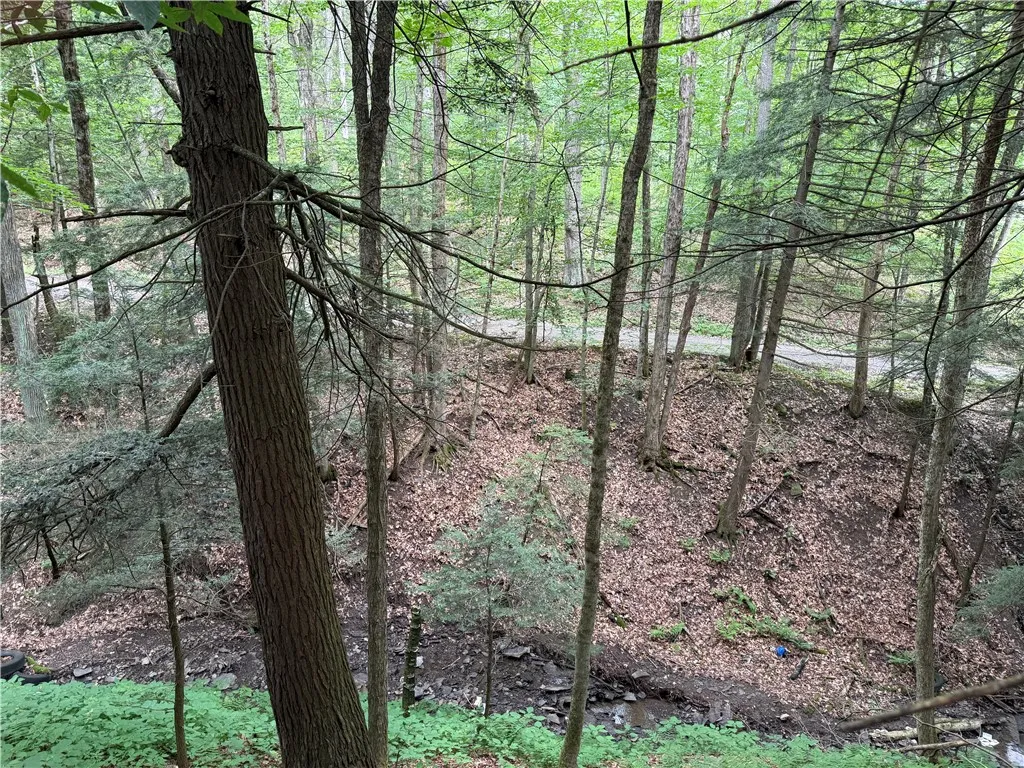 Winton Road Tn20, Columbus, New York 13460, Columbus, New York 13460, ,Land,For Sale,Winton Road Tn20, Columbus, New York 13460,R1623372