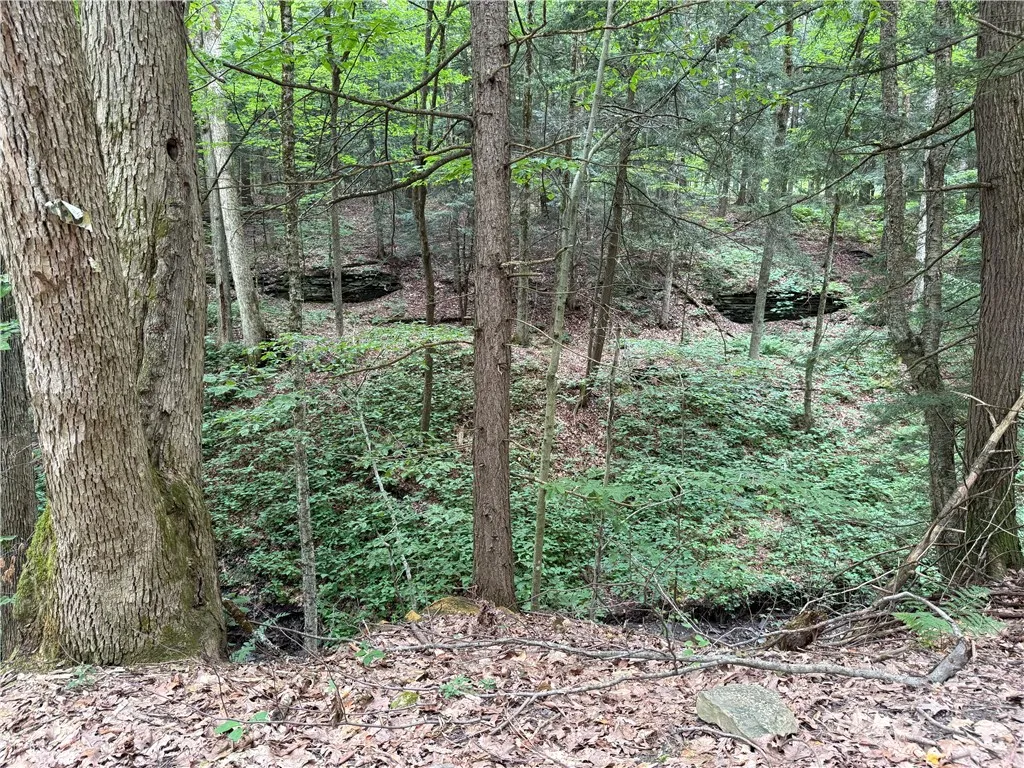 Winton Road Tn20, Columbus, New York 13460, Columbus, New York 13460, ,Land,For Sale,Winton Road Tn20, Columbus, New York 13460,R1623372