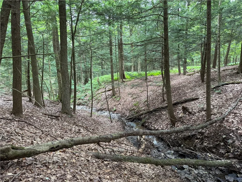 Winton Road Tn20, Columbus, New York 13460, Columbus, New York 13460, ,Land,For Sale,Winton Road Tn20, Columbus, New York 13460,R1623372