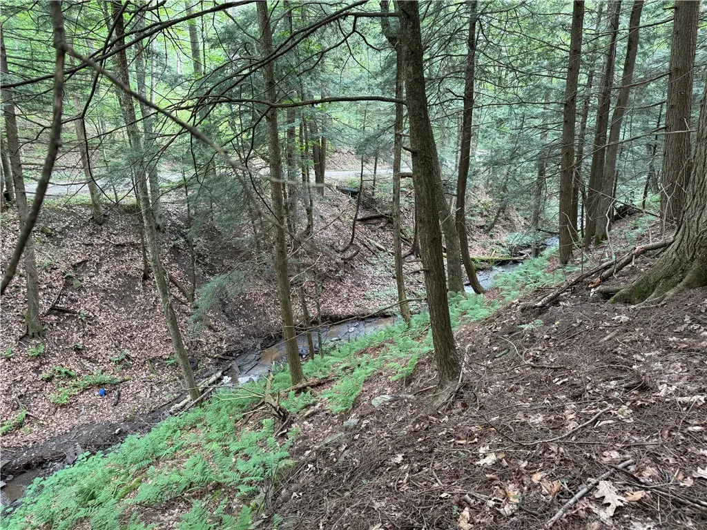 Winton Road Tn20, Columbus, New York 13460, Columbus, New York 13460, ,Land,For Sale,Winton Road Tn20, Columbus, New York 13460,R1623372