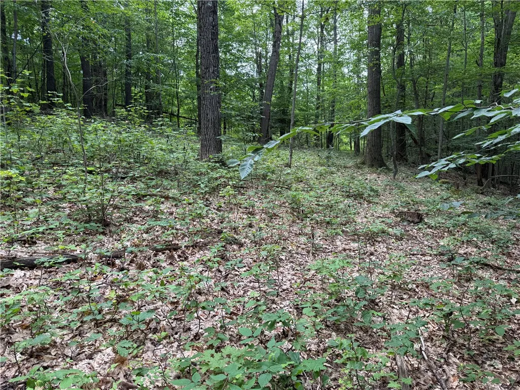Turnpike Road Tn4, Columbus, New York 13460, Columbus, New York 13460, ,Land,For Sale,Turnpike Road Tn4, Columbus, New York 13460,R1623348