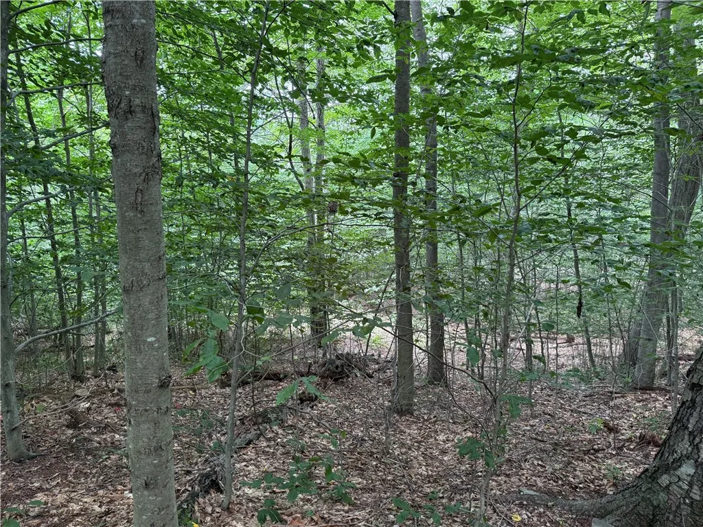 Turnpike Road Tn4, Columbus, New York 13460, Columbus, New York 13460, ,Land,For Sale,Turnpike Road Tn4, Columbus, New York 13460,R1623348