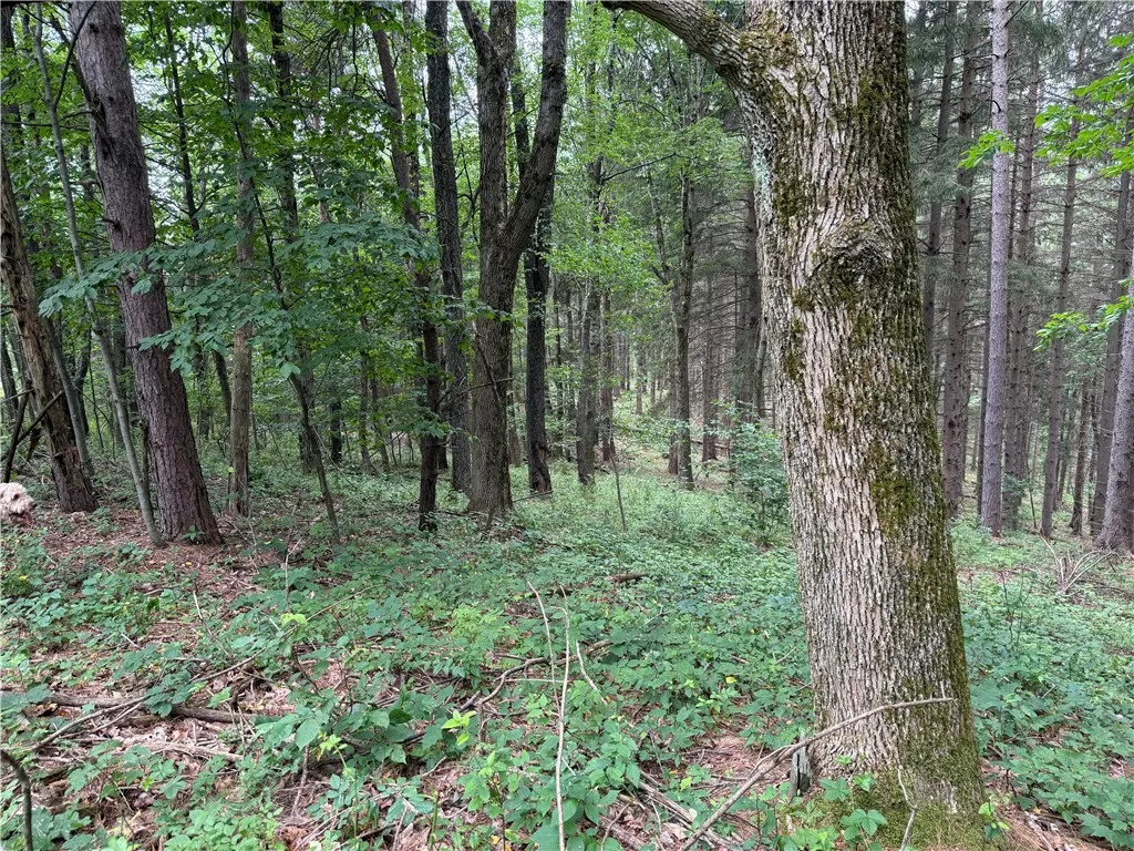 Turnpike Road Tn4, Columbus, New York 13460, Columbus, New York 13460, ,Land,For Sale,Turnpike Road Tn4, Columbus, New York 13460,R1623348