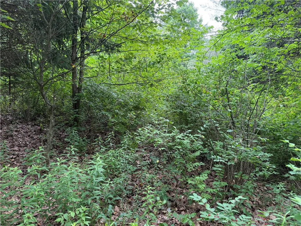Turnpike Road Tn4, Columbus, New York 13460, Columbus, New York 13460, ,Land,For Sale,Turnpike Road Tn4, Columbus, New York 13460,R1623348