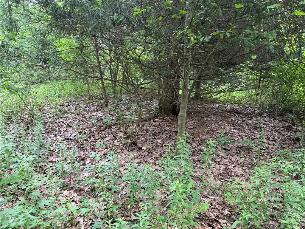 Turnpike Road Tn4, Columbus, New York 13460, Columbus, New York 13460, ,Land,For Sale,Turnpike Road Tn4, Columbus, New York 13460,R1623348