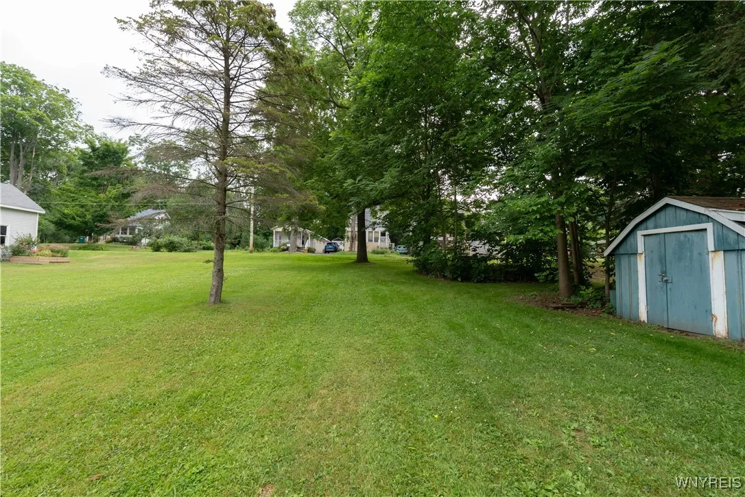 Back yard