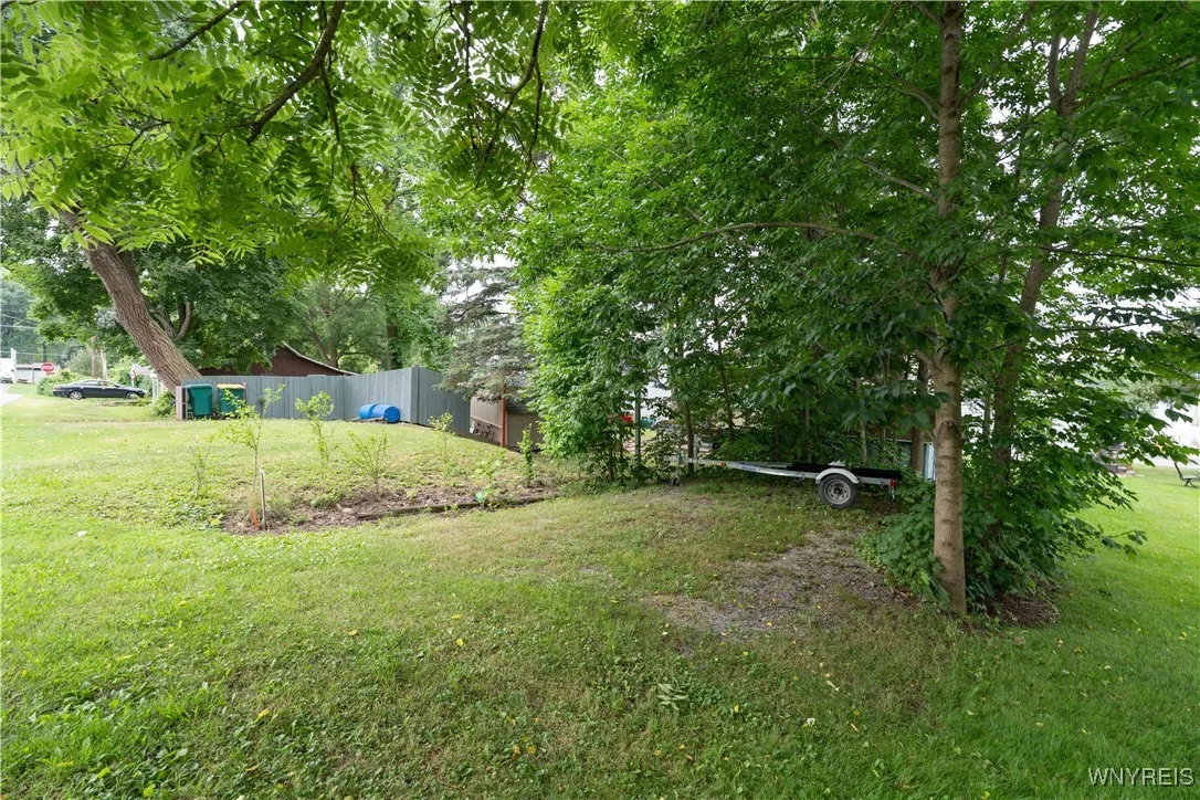 Back yard