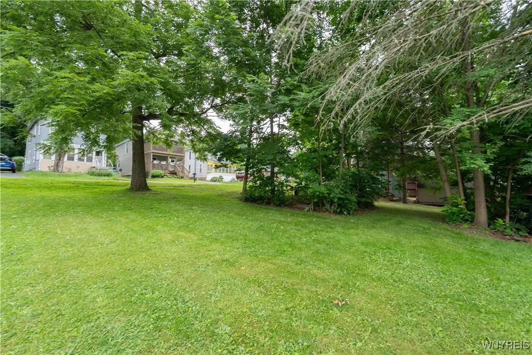 Back yard
