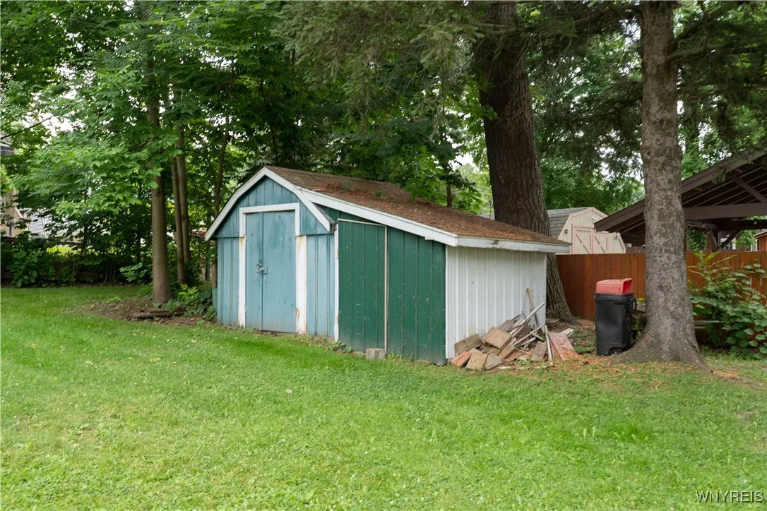 Back yard