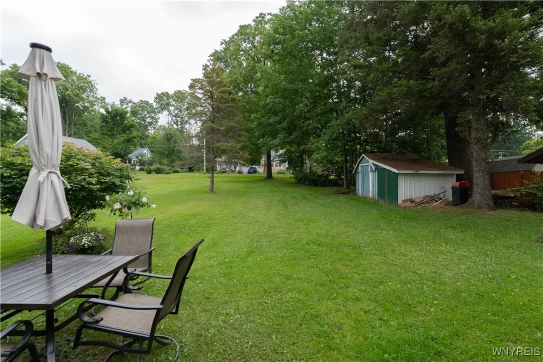 Back yard