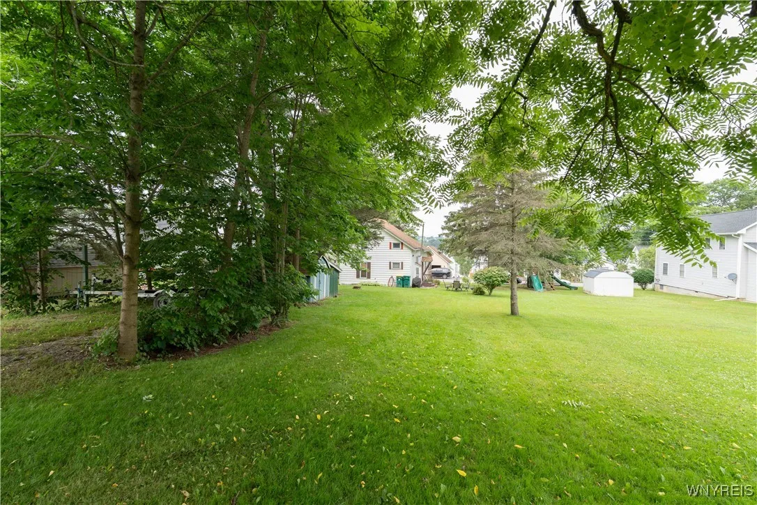 Back yard
