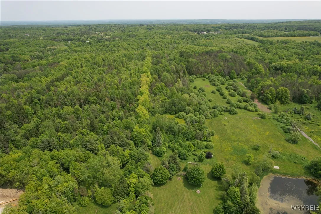 6731 Chestnut Ridge Road, Orchard Park, New York 1, Orchard Park, New York 14127, 6 Bedrooms Bedrooms, 17 Rooms Rooms,5 BathroomsBathrooms,Residential,For Sale,6731 Chestnut Ridge Road, Orchard Park, New York 1,B1623537